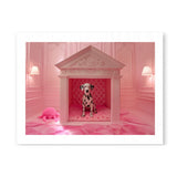 SPOT - DOTCOM ART