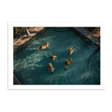 A LAZY SWIM *2 - DOTCOM ART