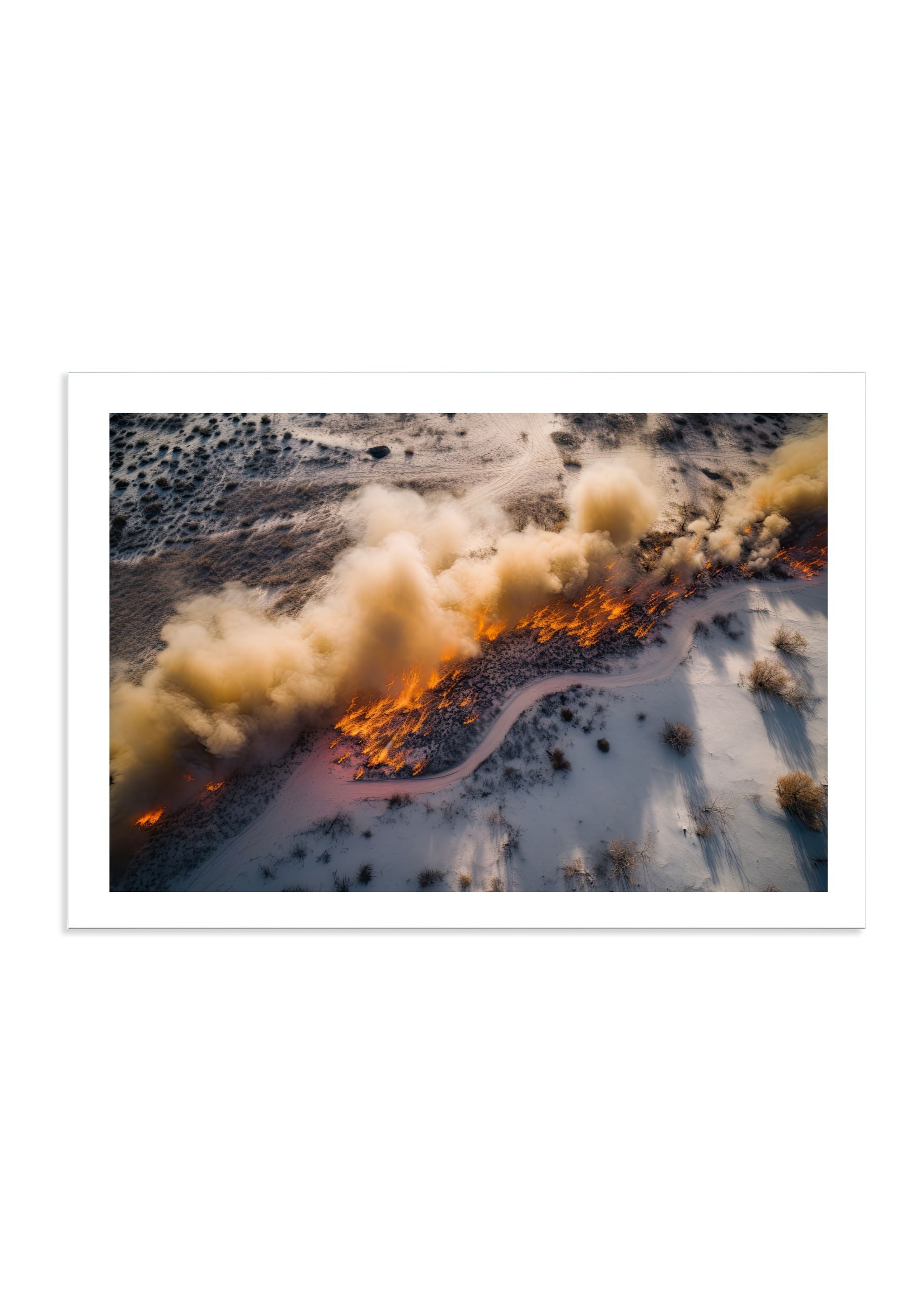BACKBURN - DOTCOM ART