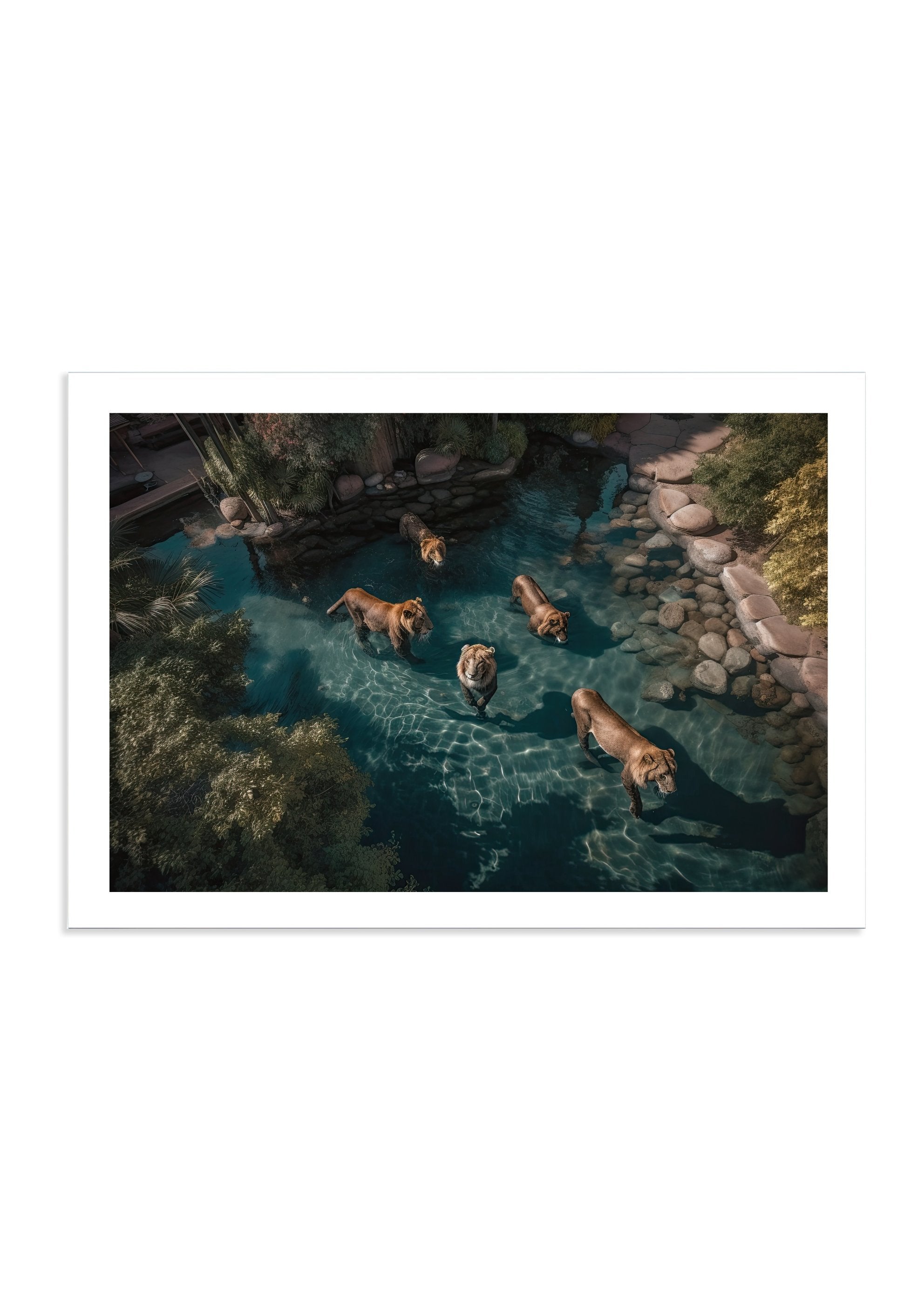 A LAZY SWIM *3 - DOTCOM ART