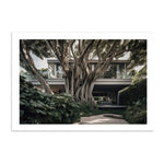 DOUBLE BAY TREE HOUSE - DOTCOM ART