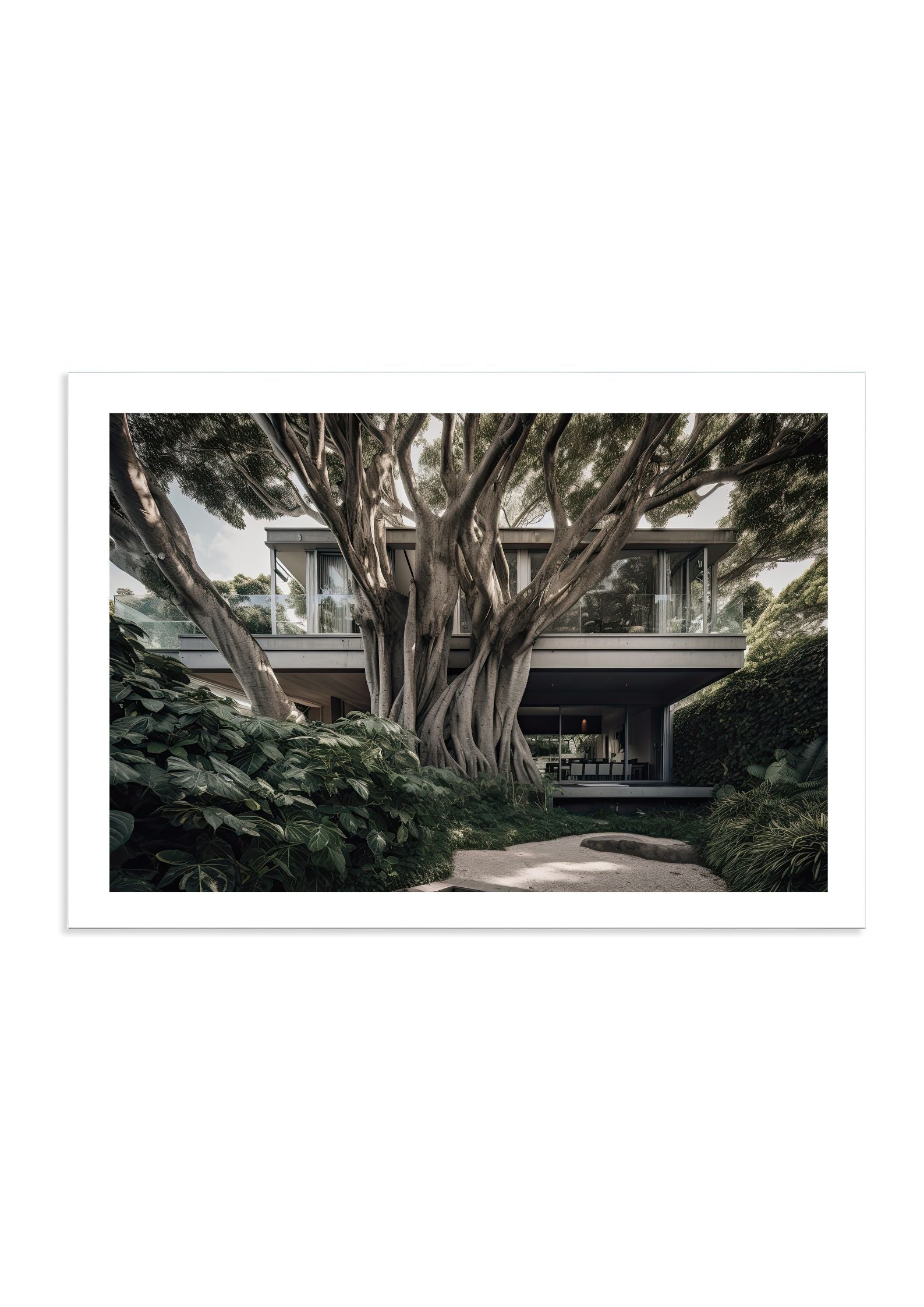 DOUBLE BAY TREE HOUSE - DOTCOM ART