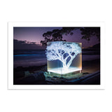 EUCALYPTUS *3 - DOTCOM ART