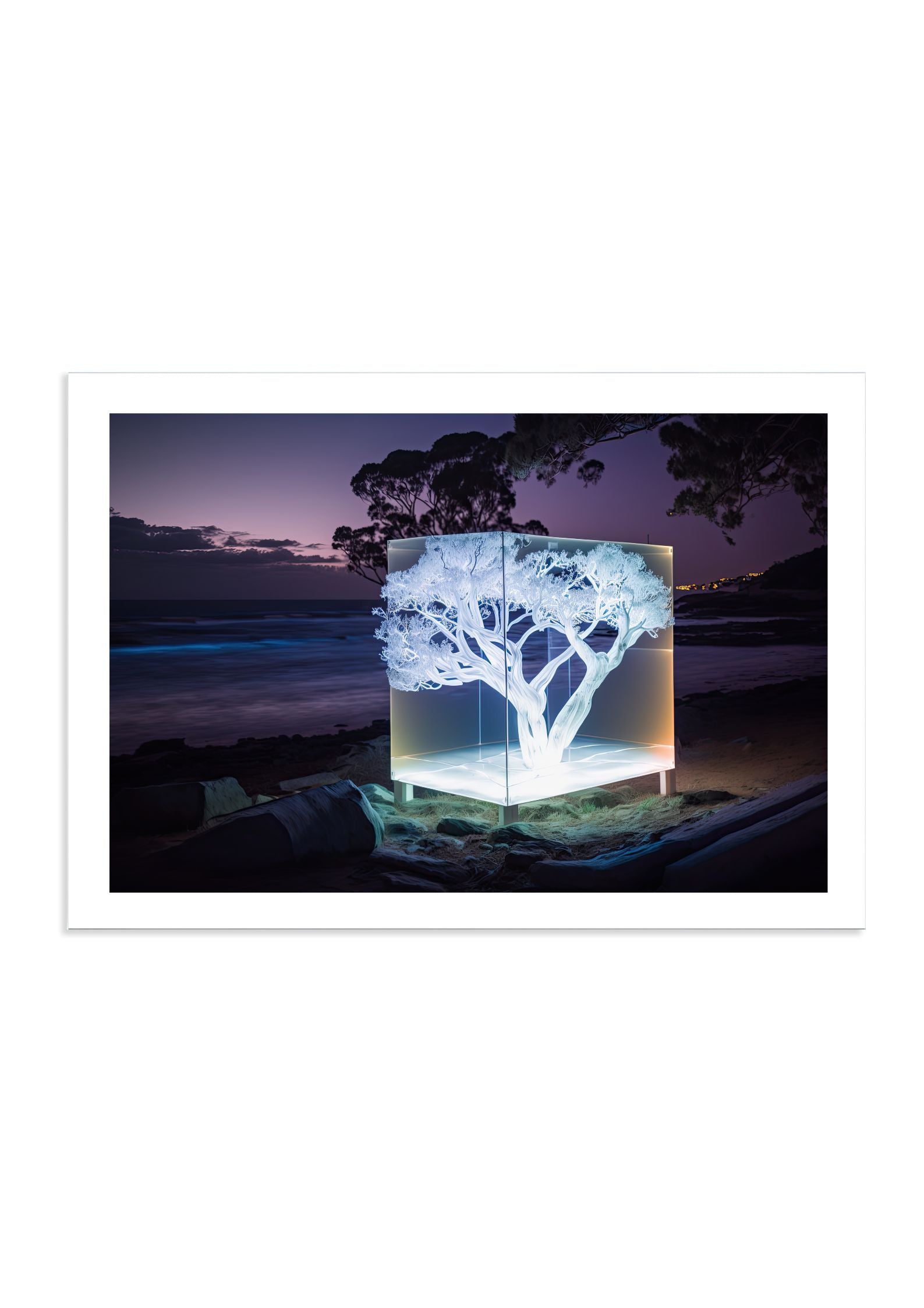 EUCALYPTUS *3 - DOTCOM ART