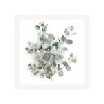 EUCALYPTUS ELEGANCE - DOTCOM ART