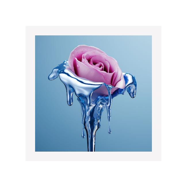 CHROME PETAL - DOTCOM ART