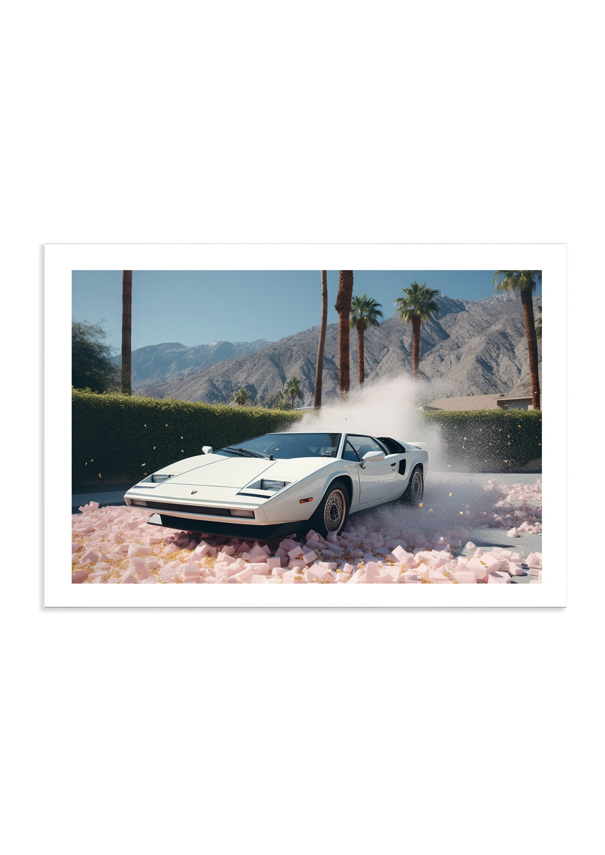 ENZO'S PLAYGROUND *1 - DOTCOM ART