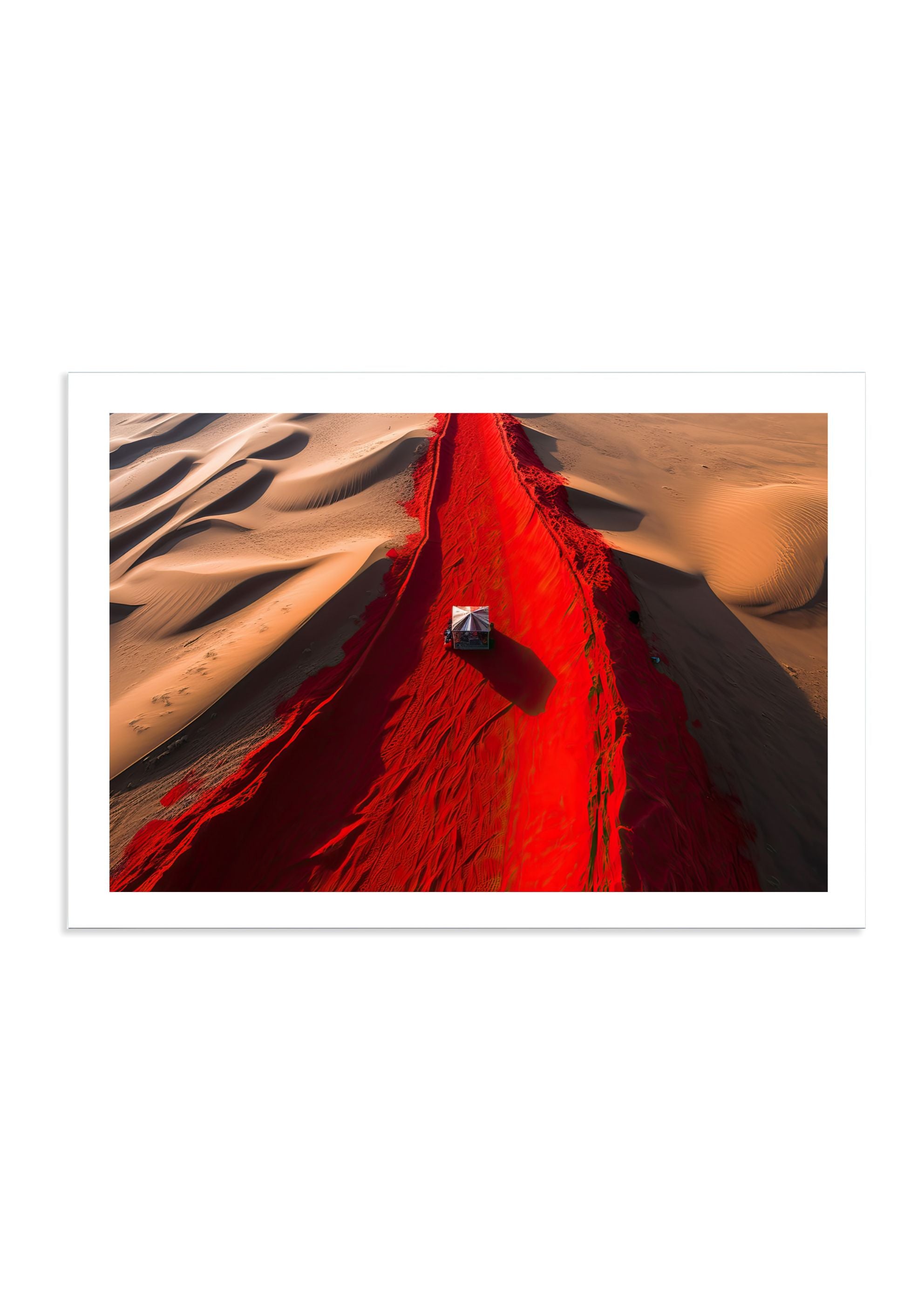 THE TRAIL *3 - DOTCOM ART
