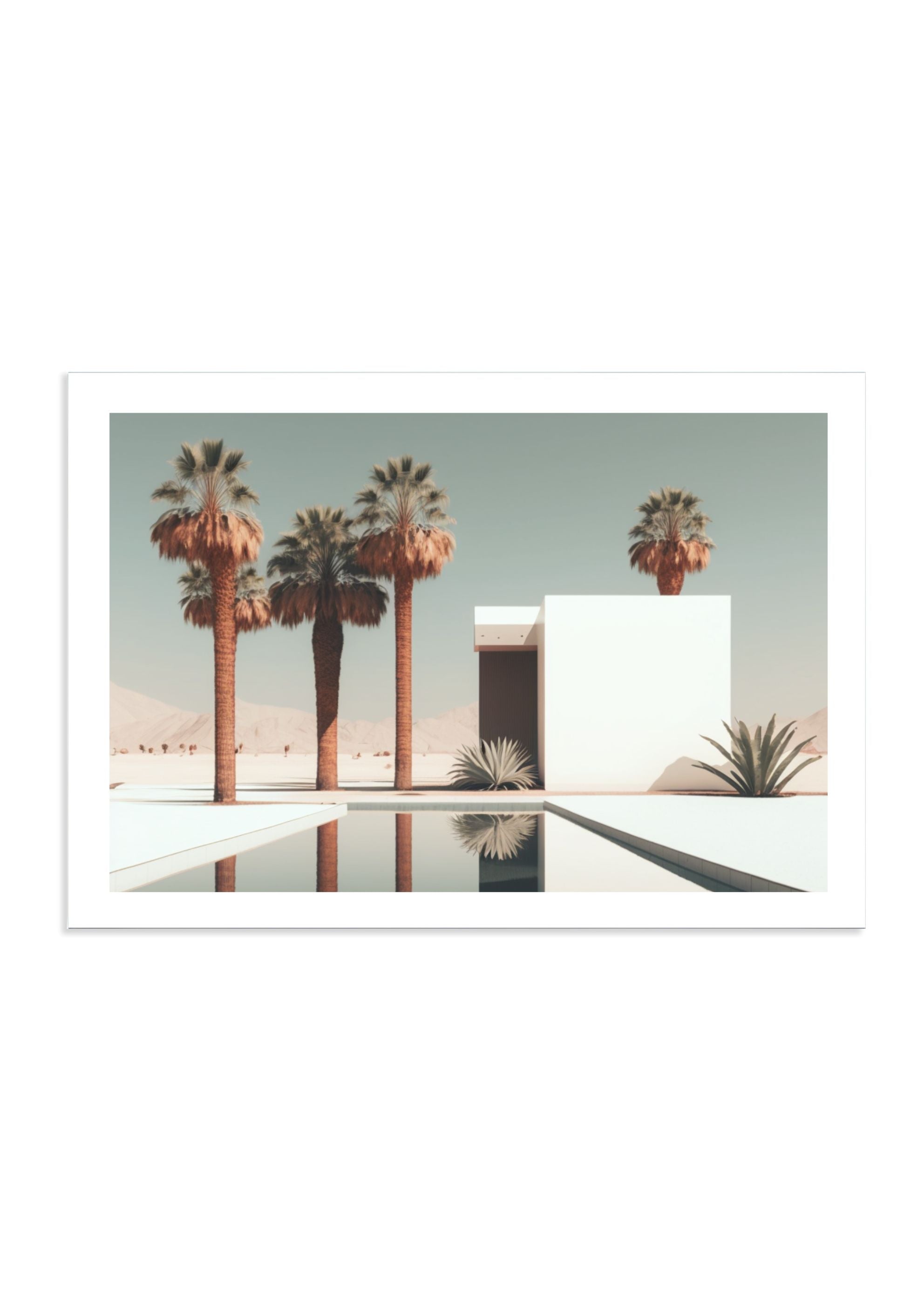 DESERT ACE *1 - DOTCOM ART