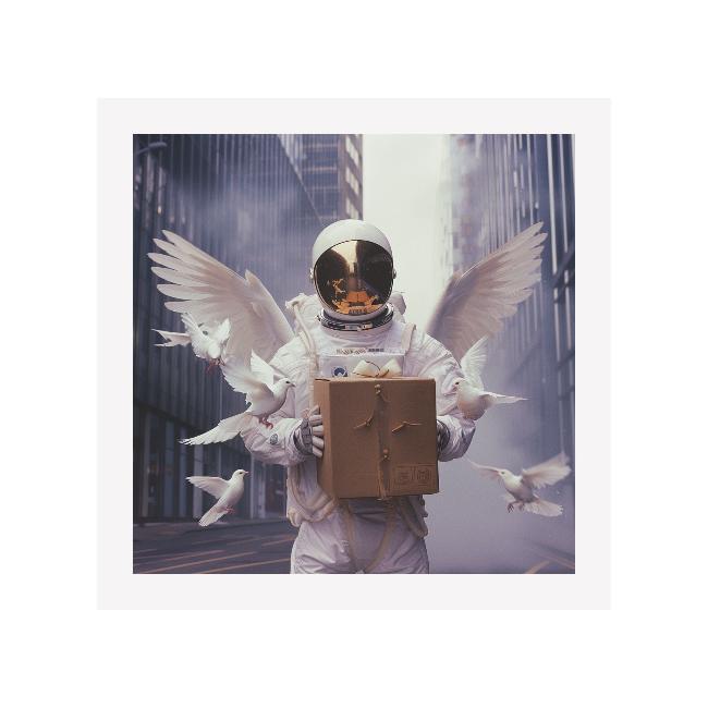 PARCEL - DOTCOM ART