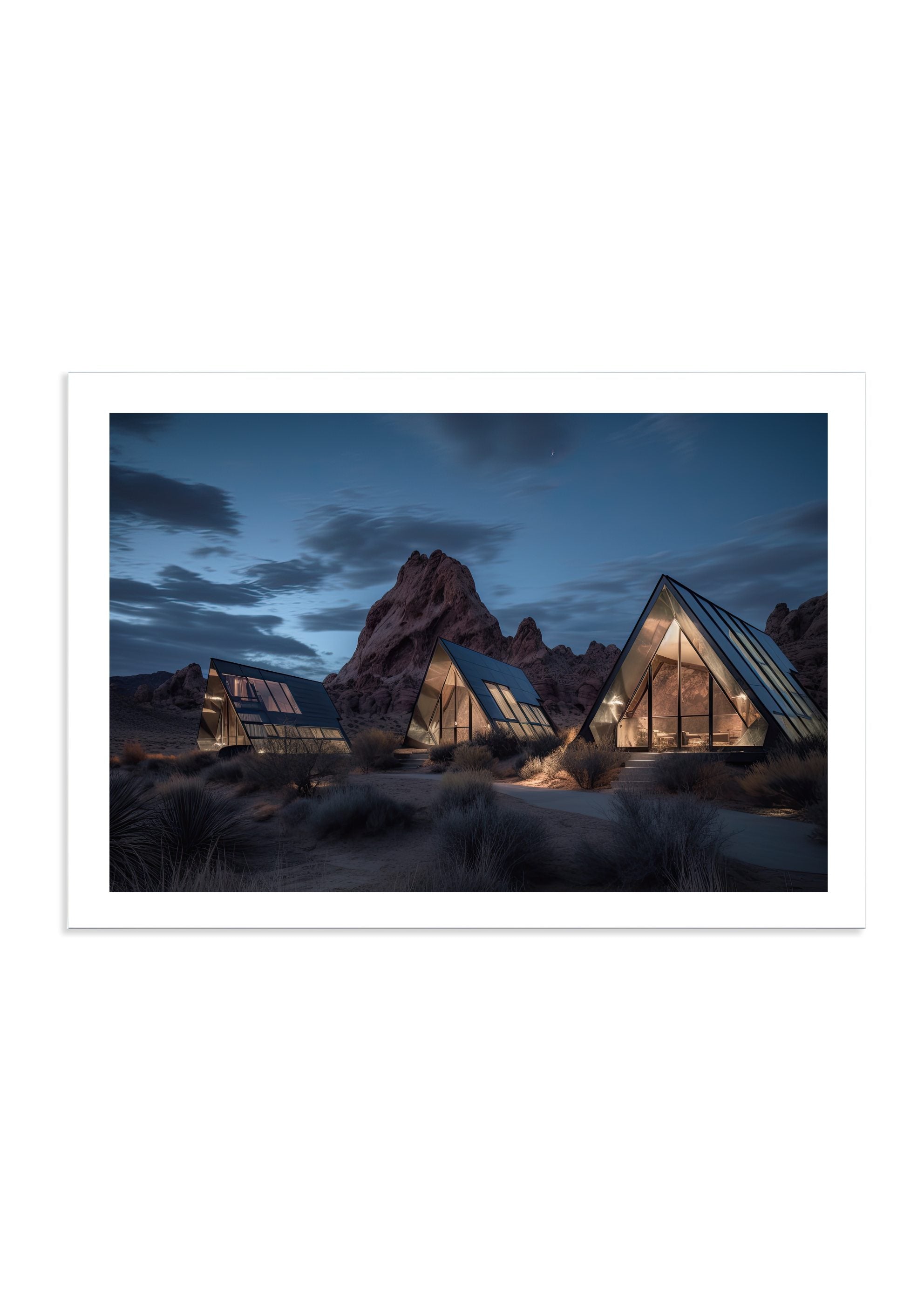 BACKCOUNTRY - DOTCOM ART