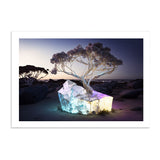 EUCALYPTUS *1 - DOTCOM ART