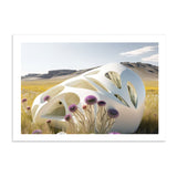 SPRING SHELL - DOTCOM ART