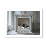 KITTY NAP - DOTCOM ART