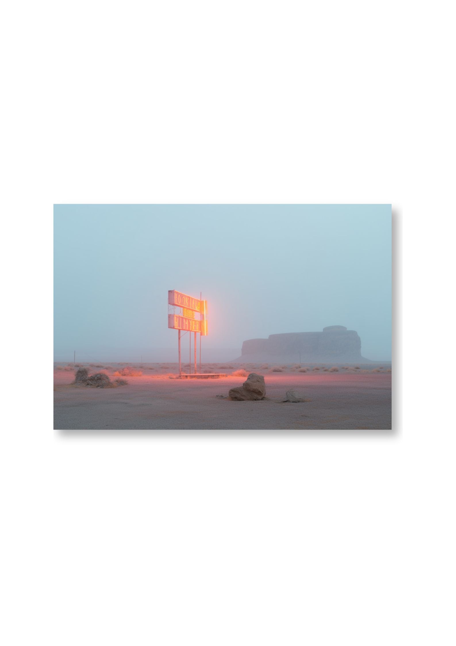 NOW SCREENING - DOTCOM ART