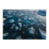 FRESHWATER - DOTCOM ART