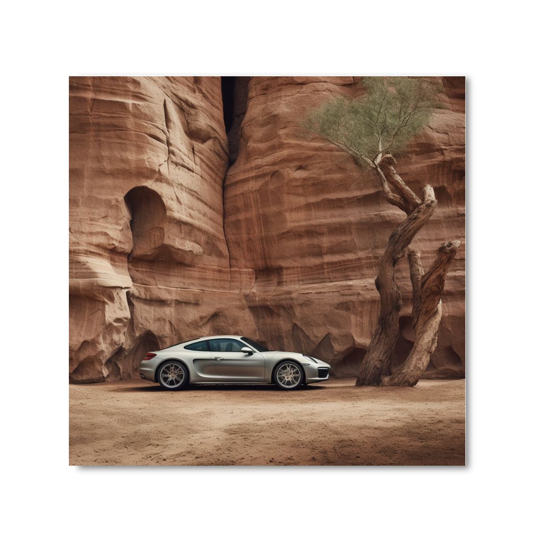 EXQUISITELY MISPLACED AUTOMOBILE - DOTCOM ART