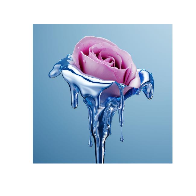 CHROME PETAL - DOTCOM ART