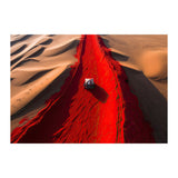 THE TRAIL *3 - DOTCOM ART