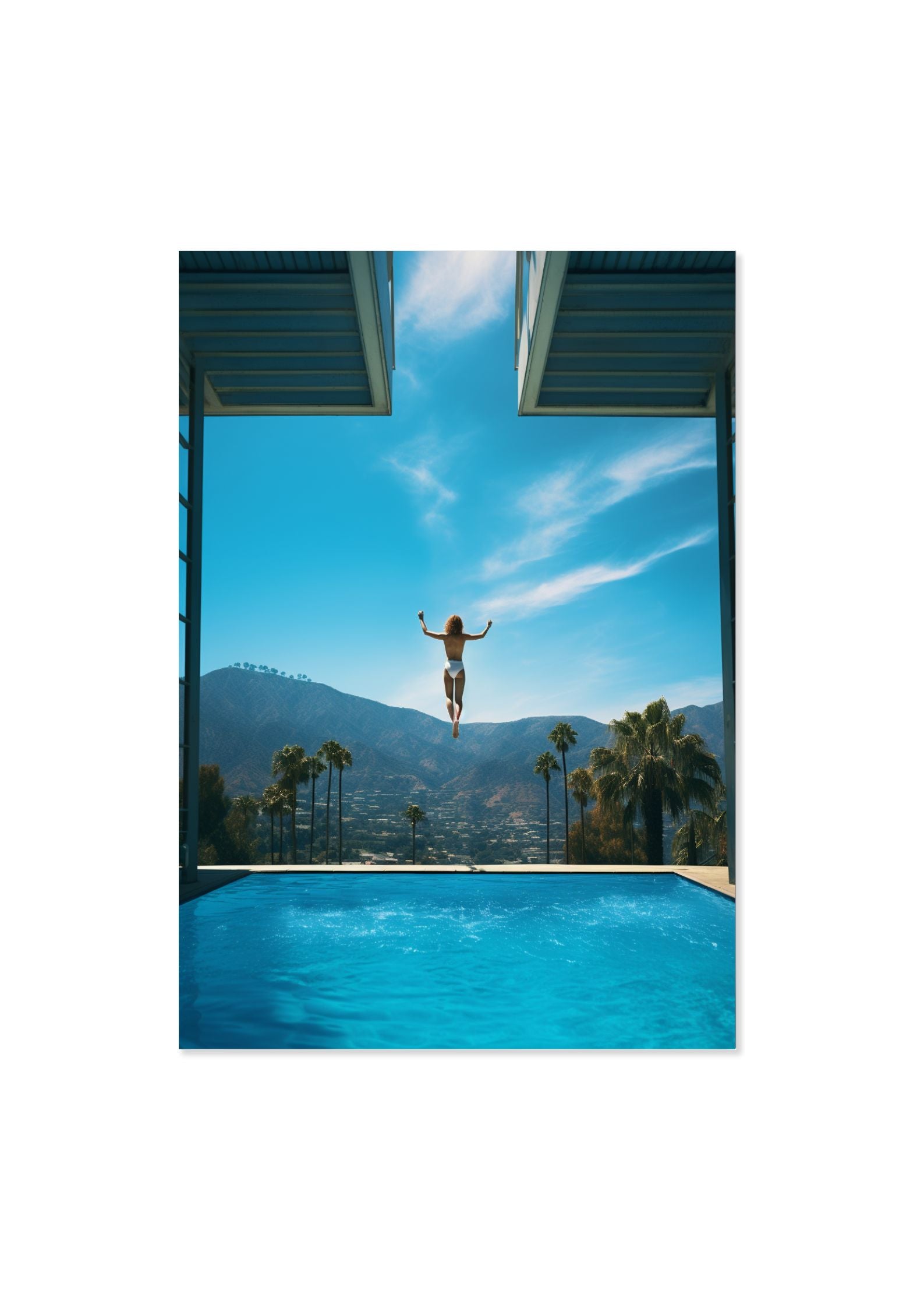 THE PICKFAIR MANSION - DOTCOM ART