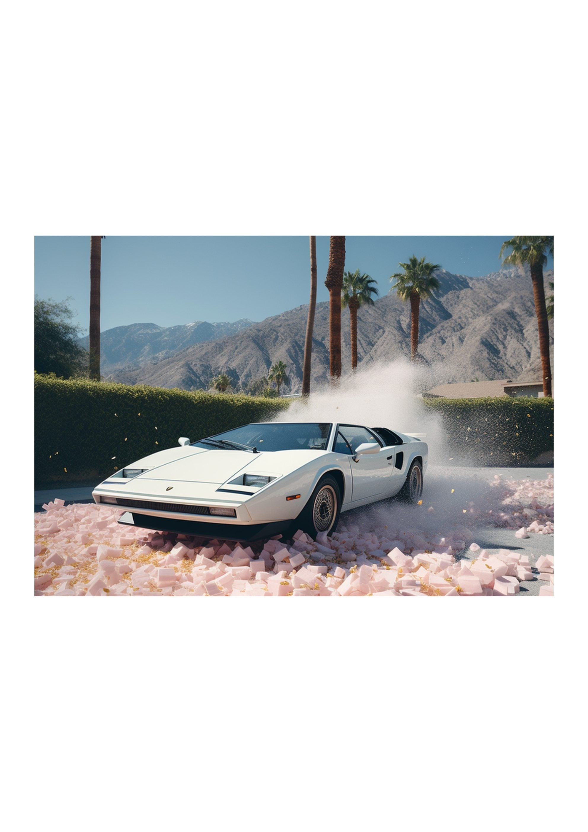 ENZO'S PLAYGROUND *1 - DOTCOM ART