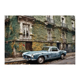 AUTUMN NOTTING HILL - DOTCOM ART