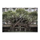 BROADWAY TREE HOUSE - DOTCOM ART