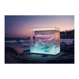 DEE WHY - DOTCOM ART