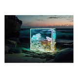 MONA VALE - DOTCOM ART