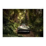 BACK ROADS TO SANTA CRUZ *1 - DOTCOM ART