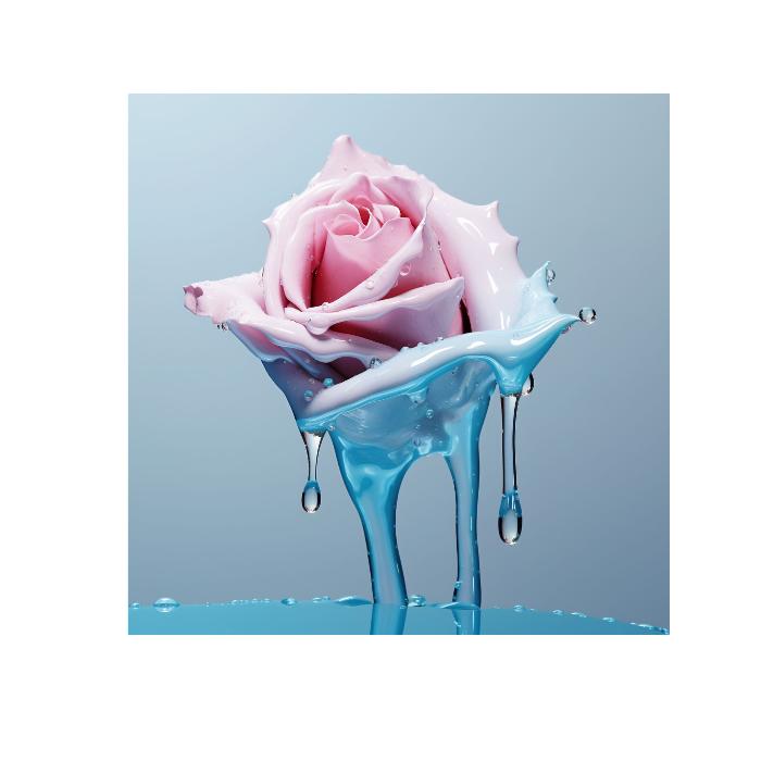 FREEZE - DOTCOM ART