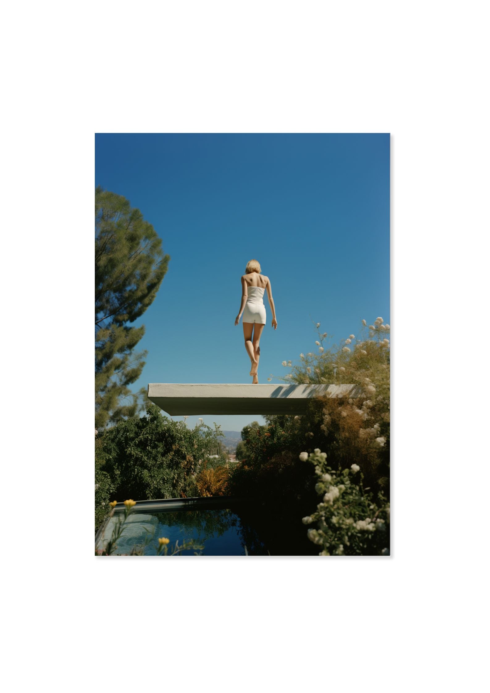THE DOHENY MANSION - DOTCOM ART