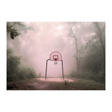HOOPS *1 - DOTCOM ART