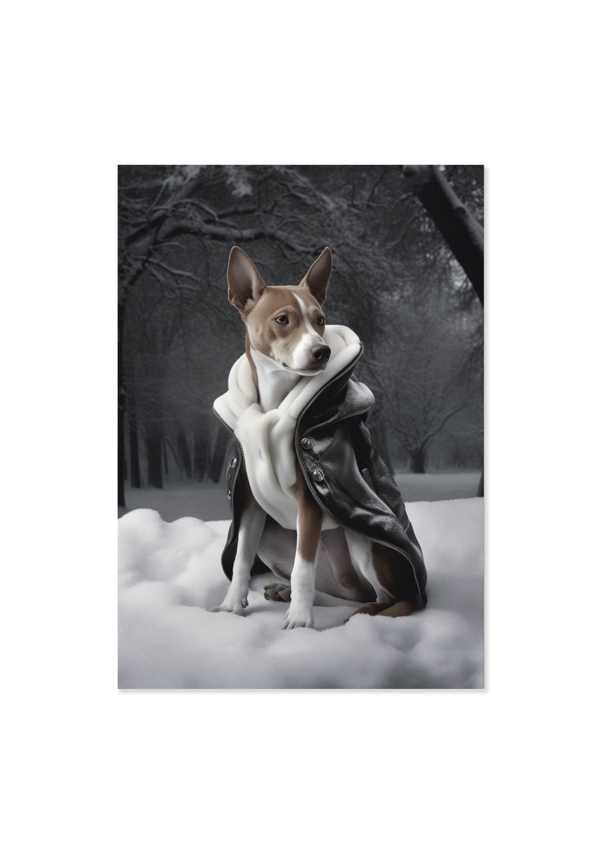 DOGS OF DIOR *2 - DOTCOM ART