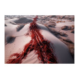 THE TRAIL *1 - DOTCOM ART