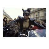 PAPARAZZI PARIS - DOTCOM ART