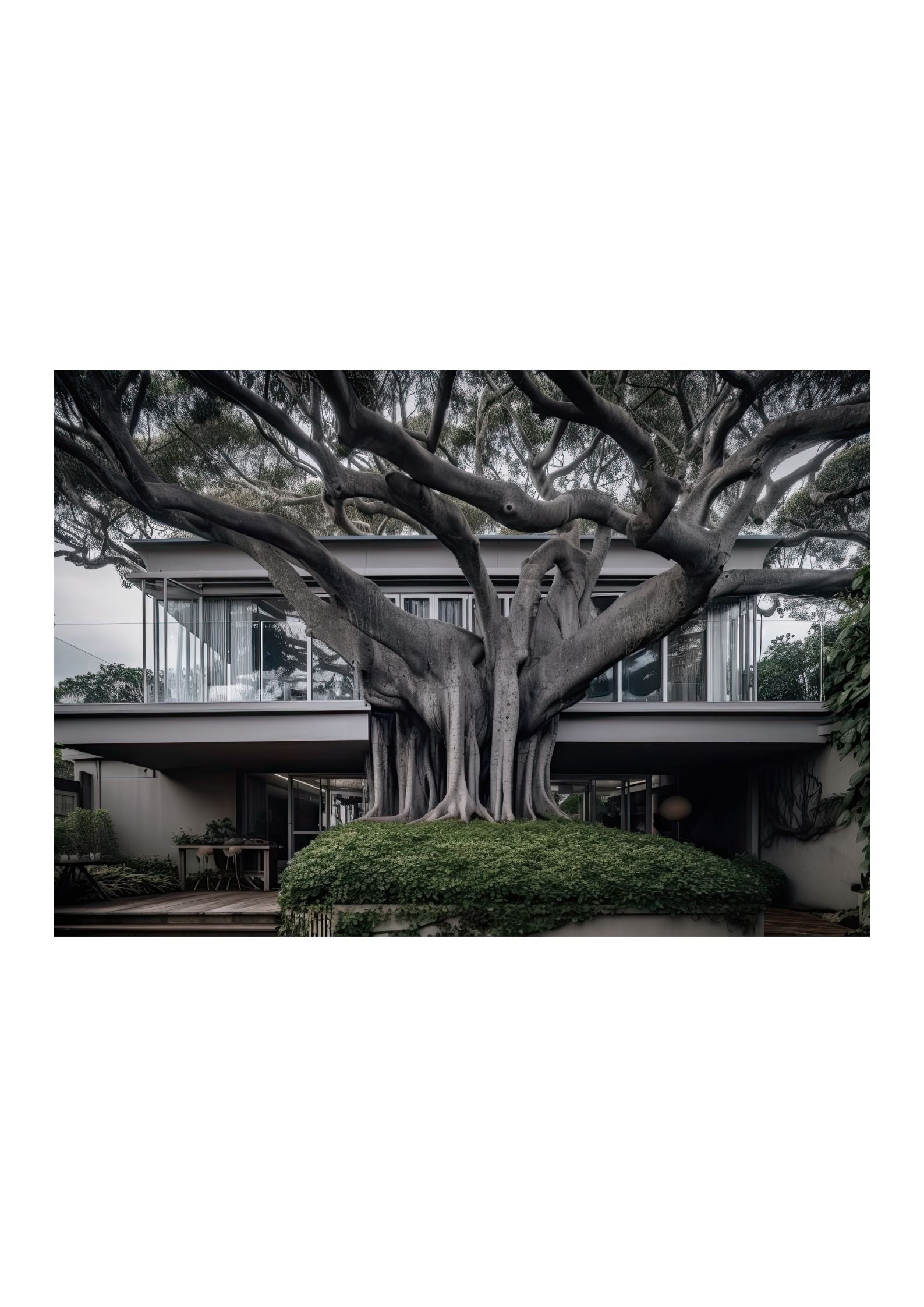 VAUCLUSE TREE HOUSE - DOTCOM ART