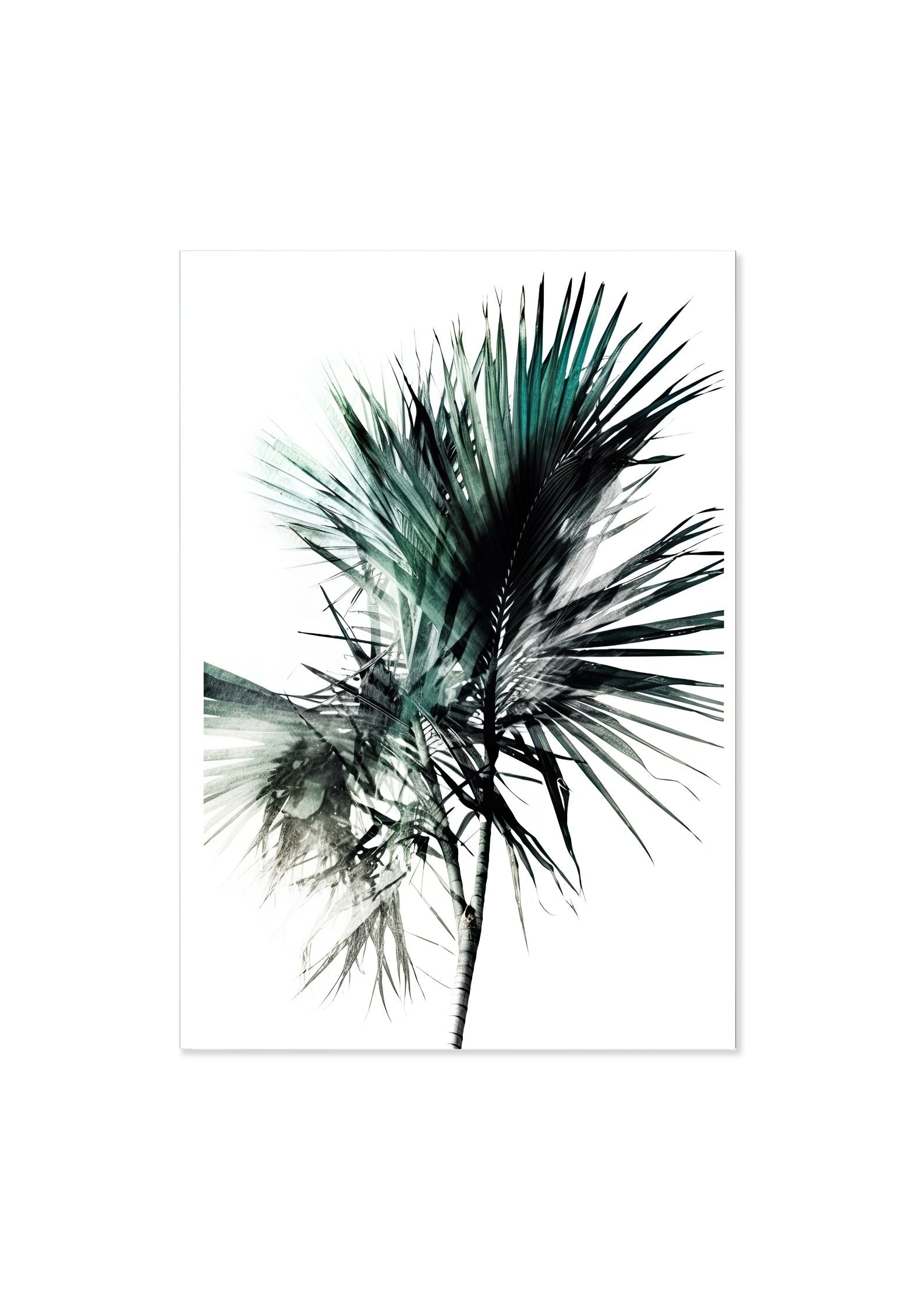 PALM FAN *3 - DOTCOM ART
