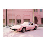 VENICE NIVALIS *3 - DOTCOM ART