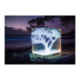 EUCALYPTUS *3 - DOTCOM ART