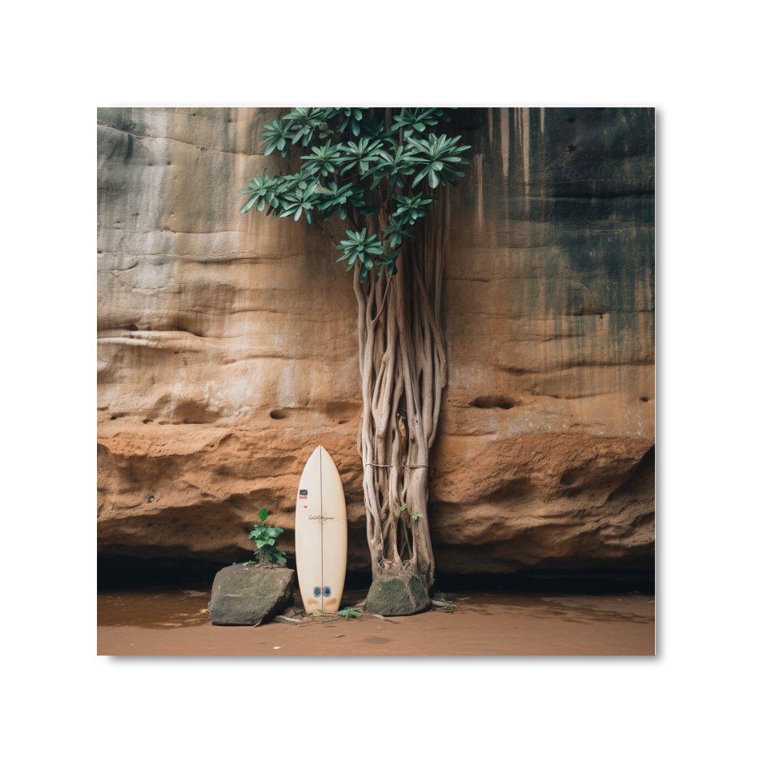 NO RECEPTION - DOTCOM ART
