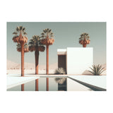 DESERT ACE *1 - DOTCOM ART