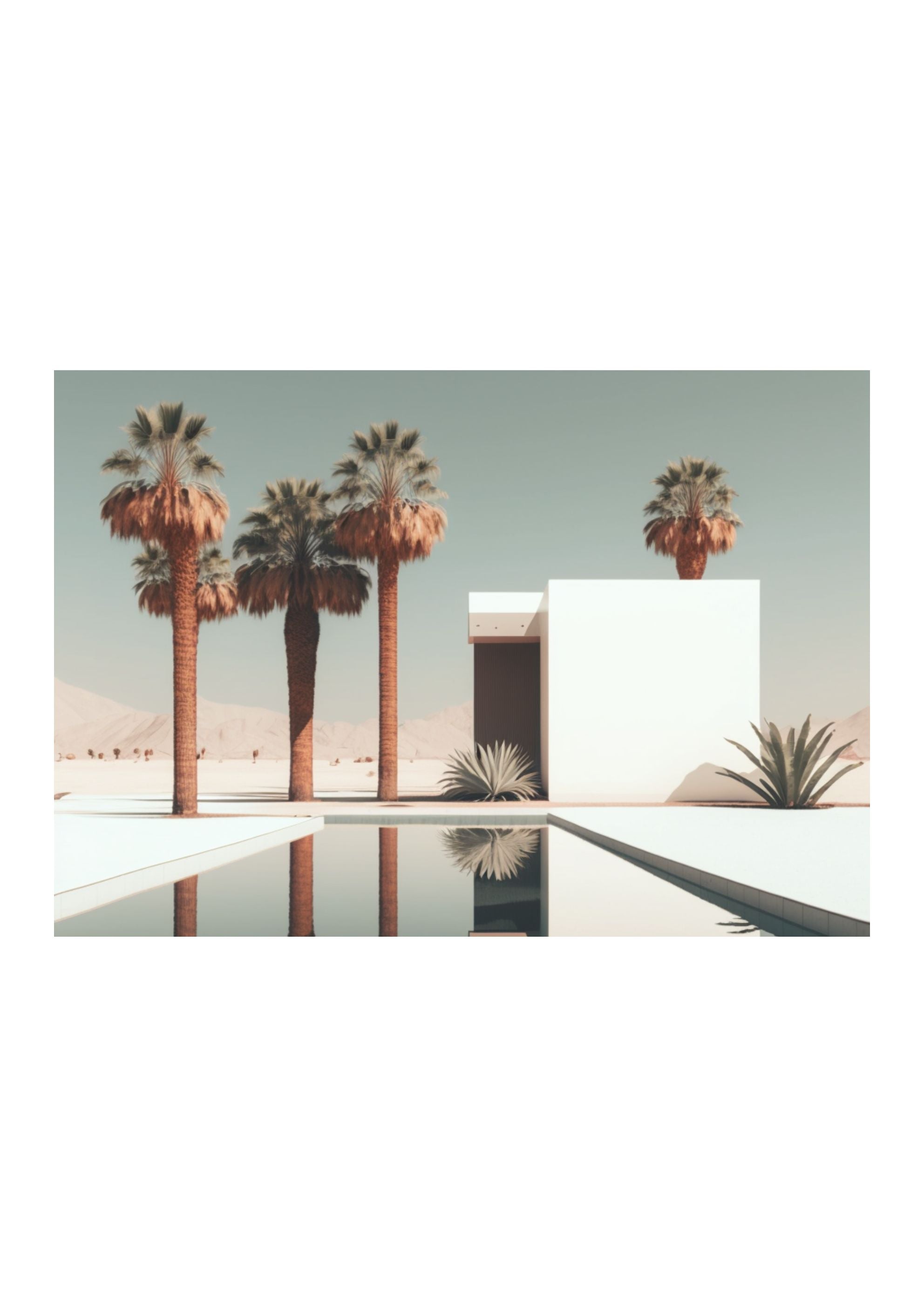 DESERT ACE *1 - DOTCOM ART