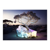 EUCALYPTUS *1 - DOTCOM ART