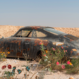 NO COUNTRY