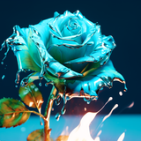 PETALSTORM