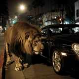 PROWL