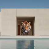 ANIMALS #57