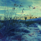 LANDSCAPE #36